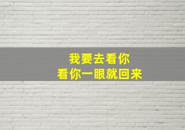 我要去看你 看你一眼就回来